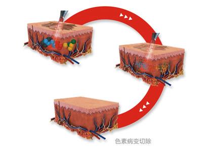微信图片_20180626085353.jpg 微信图片_20180626085353.jpg